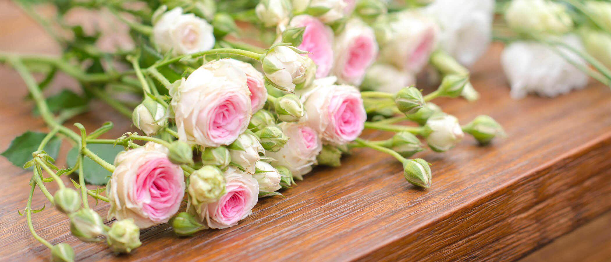 So wie die Natur dem Lauf der Jahreszeiten unterliegt, <br/>
so ist auch unser Leben nur ein Teil eines Gesamten, <br/>zu dem die Geburt und der Tod gehören.